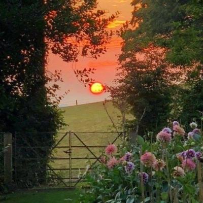 B sport官方下载入口